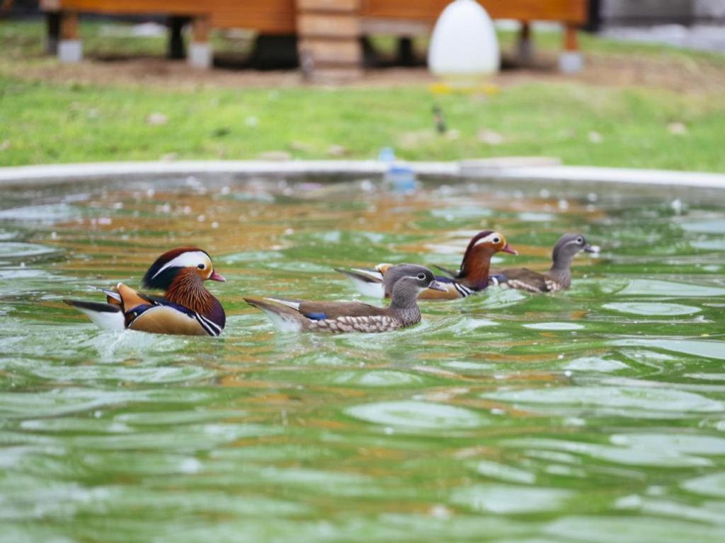 Baan Souchada Resort & Spa Sara Buri Exteriör bild
